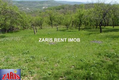 Teren de 3658 mp, în Bobicești - 3