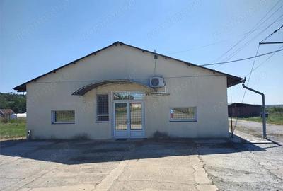 Spațiu comercial, de 972 mp, în Mișca - 12