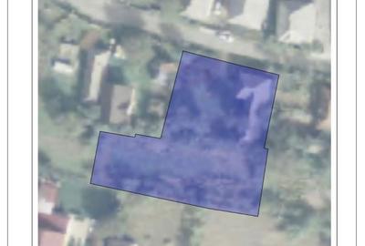 Casă cu 2 camere cu Teren 1700 Mp în Bârsana - 5