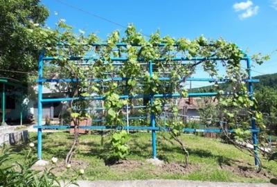 Casa cu piscina P+M, 458 mp teren, Leamna de Sus - 7