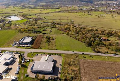 Spațiu comercial, în Chilieni - 8