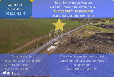 Teren de 80000 mp, în Vasilați - 3