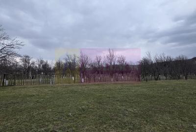 Teren Construcții intravilan de 734 mp, în Brebu - 6