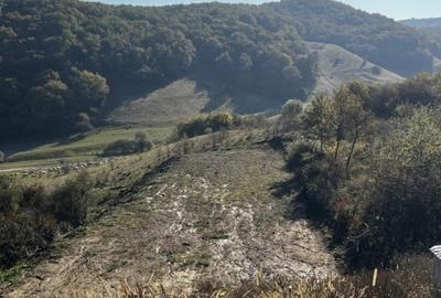 Teren intravilan ,1.000 mp , zona Str Salcamului - 1