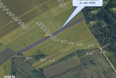 Spațiu comercial, în Muntenii de Jos - 6