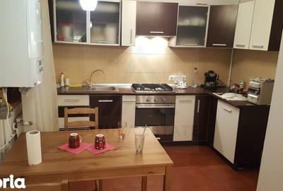 Apartament cu 4 camere, mobilat în Terezian - 2