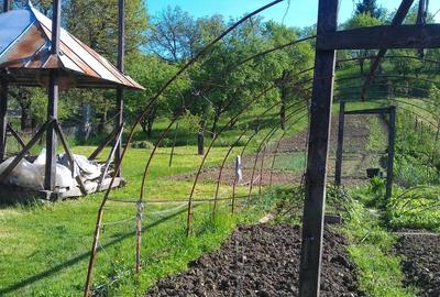 Casă cu 7 camere cu Teren 2694 Mp în Rona de Sus - 4