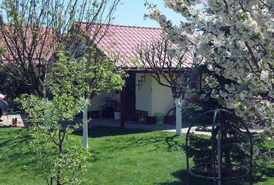 Casă cu Teren 527 Mp în Mânăstirea - 5