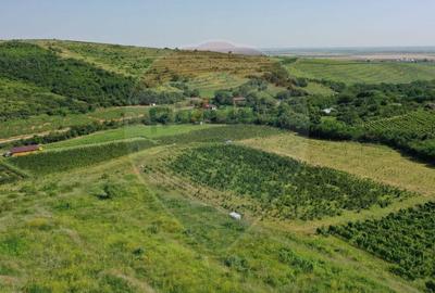 Teren de 40300 mp, în Central