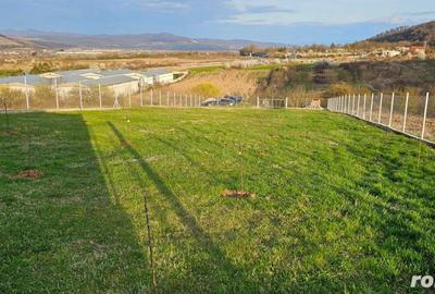 Teren de 1100 mp, în Mintia - 9