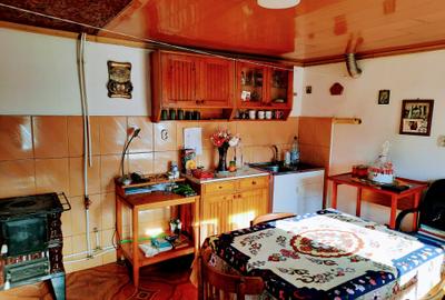 Ilia, proprietate deosebita - 14