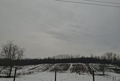 Spațiu comercial, în Povârgina - 3