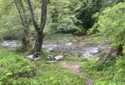 Oportunitate unica ! Proprietate in parc na?ional pe malul Cernei ! - 3