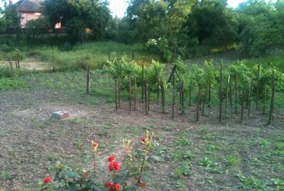 Vind casa cu teren Intravilan in Rimnicu-Vilcea Str. Buridava 34 - 6