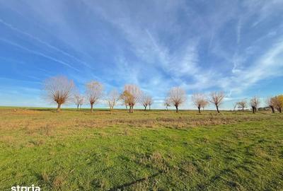 Teren de 513 mp, în Vărăști - 1