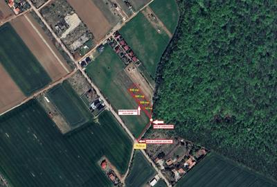 Teren intravilan 2300mp | langa Padurea Snagov | IZVORANI - 6