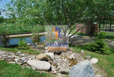 Vila 8 camere, lac, crama, 1600 mp teren, Vedea - 9