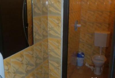 Spațiu comercial, de 450 mp, în Boțârlău - 2