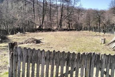 Casă cu Teren 1776 Mp în Groși - 2