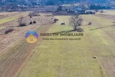 TEREN intravilan 4488 mp - PANGARA?I - 9