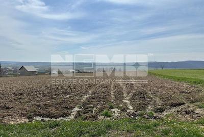 Teren De Vanzare I Patrauti Suceava I Pret: 15EUR /mp - 1