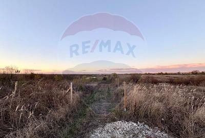 Oportunitate de investitie - teren 804 mp, Corbeanca - Strada Scolii - 5