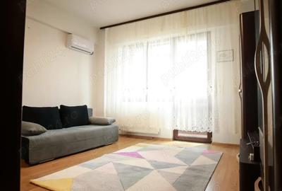 Garsoniera cf. 1 de inchiriat, Berceni, Drumul Binelui - 4