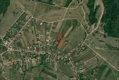 Teren intravilan - Saldabagiu de munte - 5000 mp. - IMOBIHOR - 3