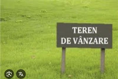 Teren de 30000 mp, în Movilița