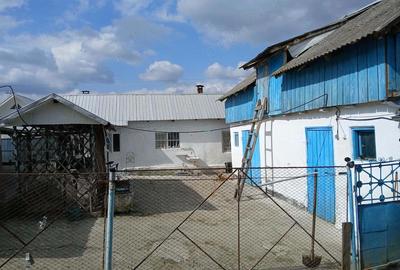 Casă cu Teren 1200 Mp în Central - 1