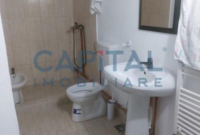 Apartament cu 2 camere semidecomandat, mobilat în Gruia - 10