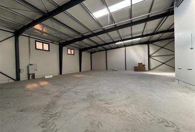 Vanzare depozit/hala/spatiu industrial Theodor Pallady - Drumul Intre Tarlale - - 8