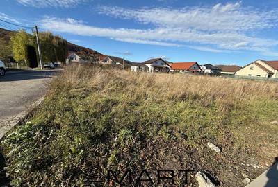 Teren Construcții intravilan de 600 mp, în Sighișoara - 3