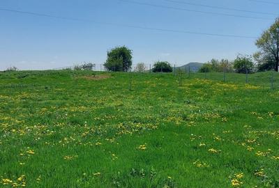 Teren Campina varful Muscel - 2