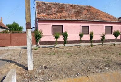 Casă cu 4 camere cu Teren 2877 Mp în Breștea - 1