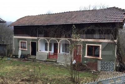 Casa de vacanta din lemn, sat Magura, Bezdead - 6