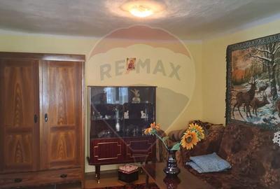 Casă cu 3 camere cu Teren 773 Mp în Târnava - 13