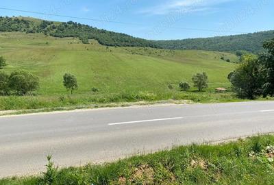 Teren de 1100 mp, în Sălicea - 2