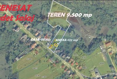 DE VANZARE- GOSPODARIE cu 95 arii teren - 13