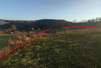 Teren de 3415 mp, în Luncoiu de Sus - 2