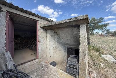 Casa cu teren 8000 mp. - Cetariu - IMOBIHOR - 11