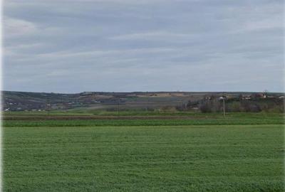 Teren Andrieseni, cota parte 1/20, ID: R2603082 - 10