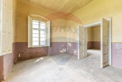 Conac aristocratic secolul XIX , domeniu  2,5 hectare -- Paulis, Arad - 11