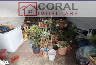 Casă cu 3 camere cu Teren 2070 Mp în Cârjiți - 3