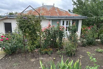 Casa cu 3 camere Zaicesti Casa cu 3 camere Zaicesti - 4