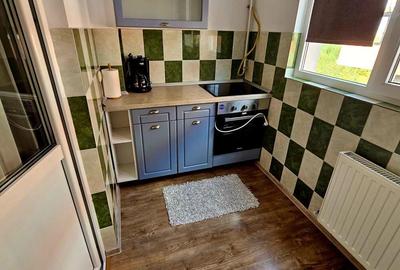 Inchiriez apartament 3 camere Anghel Saligny - 3