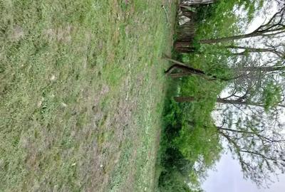 Casă cu 5 camere cu Teren 4000 Mp în Smârdan - 3