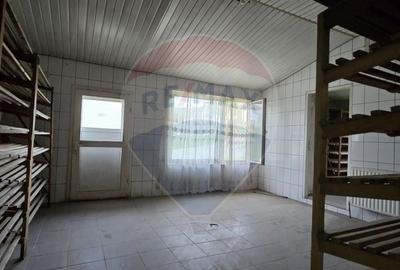 Casă cu 10 camere cu Teren 1000 Mp în Chisindia - 17