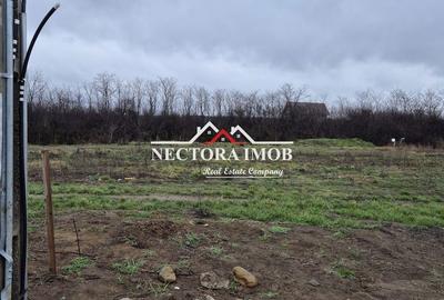 Teren de 501 mp, în Nojorid - 6