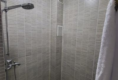 Garsoniera  suprafata utila 25mp, spre vanzare in Vasile Aaron - 6